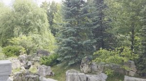 🎀✨ Маленькая принцесса в парке Хуамин ✨🎀