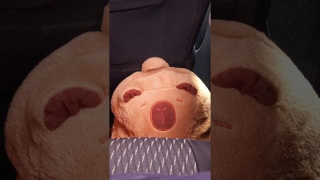 в машине