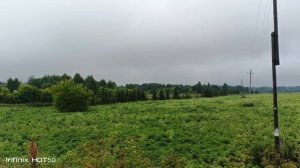 поход по ягоды клубнику,туман раннее утро