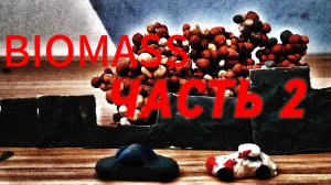 the biomass БИОМАССА СЕРИЯ 2
