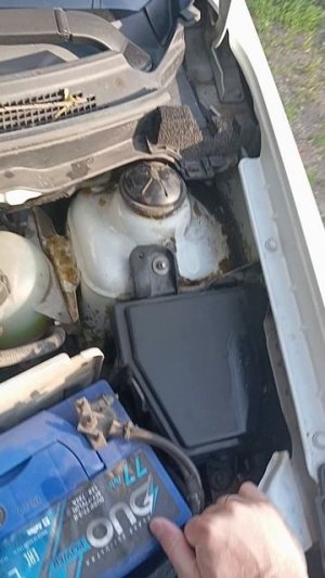 Скрип от передней подвески Nissan Almera G15