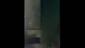 Большая рыбина