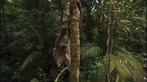 Как устроена природа