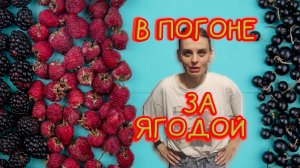 Сезон лесной клубники: охота за ароматными ягодами в лесу