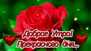 ДОБРОЕ УТРО! ПРЕКРАСНОГО ДНЯ! ТЁПЛЫЙ, СЕРДЕЧНЫЙ ПРИВЕТ ОТ МЕНЯ! 😘💌🌹🌹🌹🌹🌹🌹🌹🌹🌹🌹🌹🌹🌹🌹🌹🌹