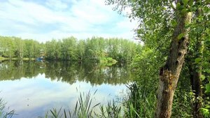 Если это не рай, то что же?.mp4