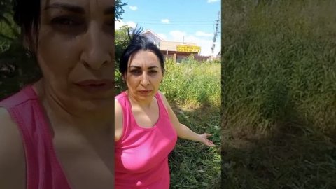 работа,работа