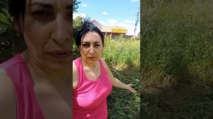работа,работа