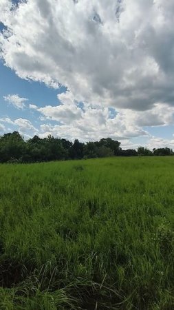 Днепр. Панорамный вид