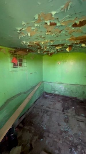 Реставрация заброшенного кунга на даче.Начало