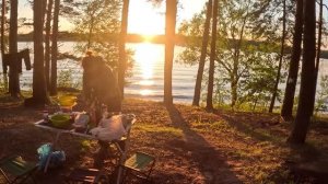 Пара дней на Волге, Белый Городок в сосновом бору