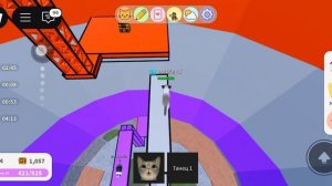 как я играю в котят