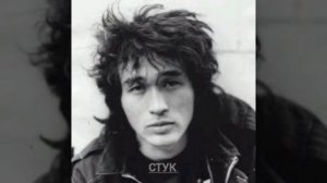 кино.стук