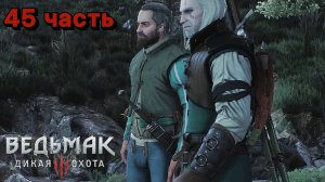 Черная жемчужина ➤ The Witcher 3_ Wild Hunt #45