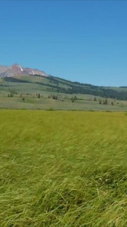 Йога на Закате Дзен и Красота Природы
