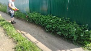 Купили триммер, пробую косить.