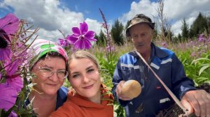 РОДИТЕЛЬСКИЙ ДОМ/ ЗАГОТОВКА ИВАН -ЧАЯ/ЯГОДНАЯ ШАРЛОТКА С ТВОРОГОМ/ЗА ГРИБАМИ В ДРЕМУЧИЙ ЛЕС