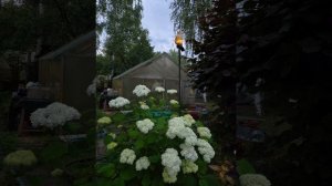 НАШЕ ДАЧНОЕ ЛЕТО – 2025