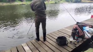 Карпуша не даёт скучать