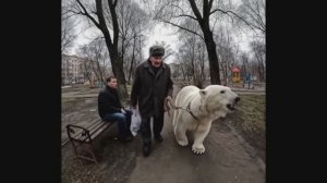 НЕЙРО МЕМЫ #1