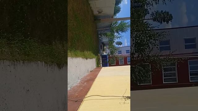 VID_20250706_165438.mp4