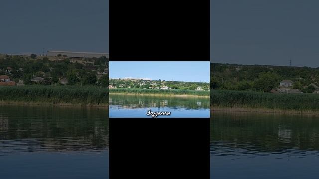 1000076050.mp4
