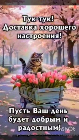 Доставка хорошего настроения