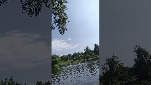 плавание