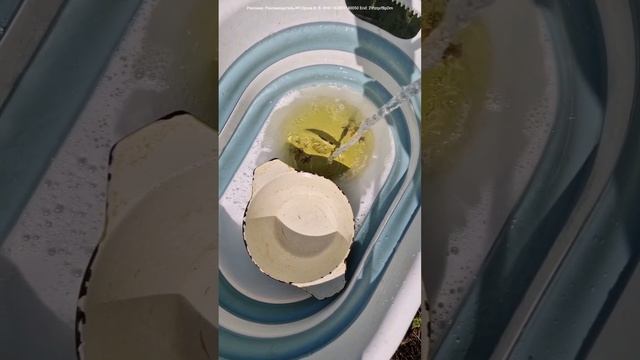 Как отмыть весь дом одним средством?🧹 смотреть онлайн