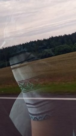 едим в москву