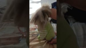 Кукла реборн Ева😁🌺❤