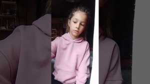 обустройство домик собачек