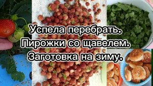 06-07-2025Успела перебрать.Пирожки со щавелем.Заготовка на зиму.