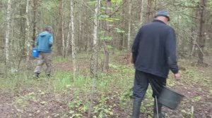 ВЕСЬ ДЕНЬ ОДНИ ПОЕЗДКИ,ВАРИМ ВАРЕНЬЕ, СЪЕЗДИЛИ ЗА ГРИБАМИ, ПОВСЕДНЕВНАЯ ЖИЗНЬ