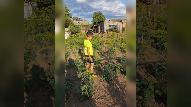 Артём в огороде у бабушки смотреть онлайн