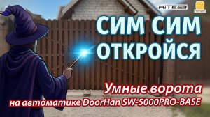 Умные ворота на автоматике DoorHan SW-5000PRO-BASE и реле HiTE Pro!