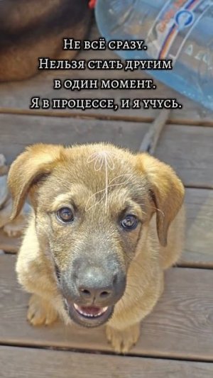 Будни женщины с хозяйством и характером