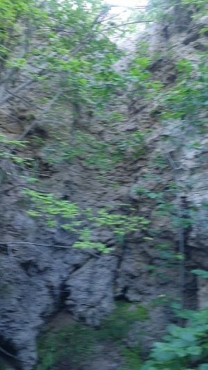 20250706_181221.mp4
