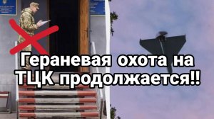 МРИЯ⚡️ ТАМИР ШЕЙХ / ОХОТА НА ТЦК ПРОДОЛЖАЕТСЯ! Сводки Новости