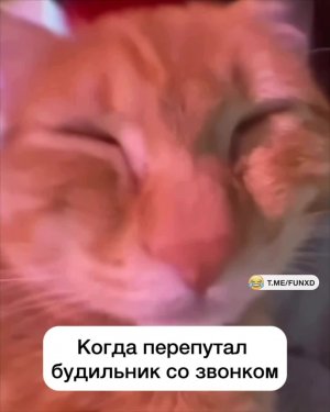Доброе утро!😅