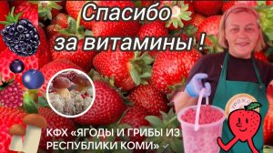 Честный отзыв ,“Ягоды и грибы из Республики Коми"