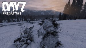 PREDATOR ❗ ОСТОРОЖНО ЭТО ХАРДКОР #dayz