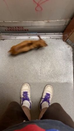 Загрузка нового уровня