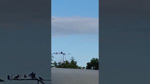 VID_20250706_190337.mp4