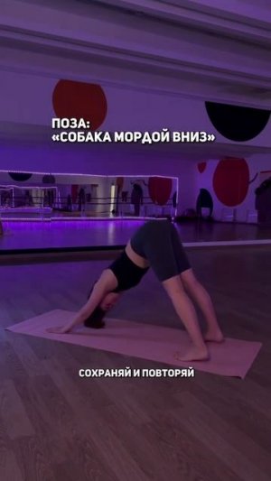 Сохраняйте видео и повторяйте  Курс «Здоровая спина»Каждую пятницу в 19:30Студия «Жулебино»