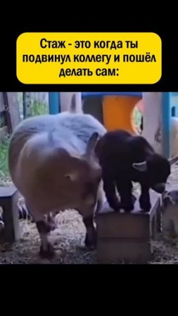 У кого было?