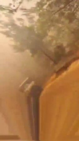 В сирийской Латакии на границе с Турцией бушуют мощнейшие лесные пожары.