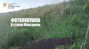 Фотоловушка в степях Максарихи