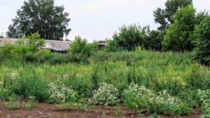 По ул. Сибиряков Гвардейцкв - ч 2