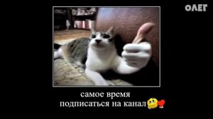 16 МИНУТ РЖАКИ от ФИКСИКОВ 😂 ПОПРОБУЙ НЕ ЗАСМЕЯТЬСЯ